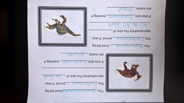 Dinosaur research