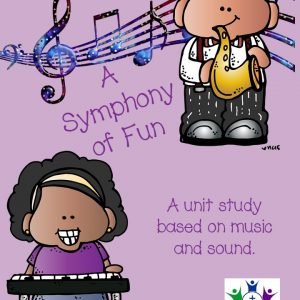 Symphony of fun cover