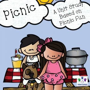 picnic fun cover