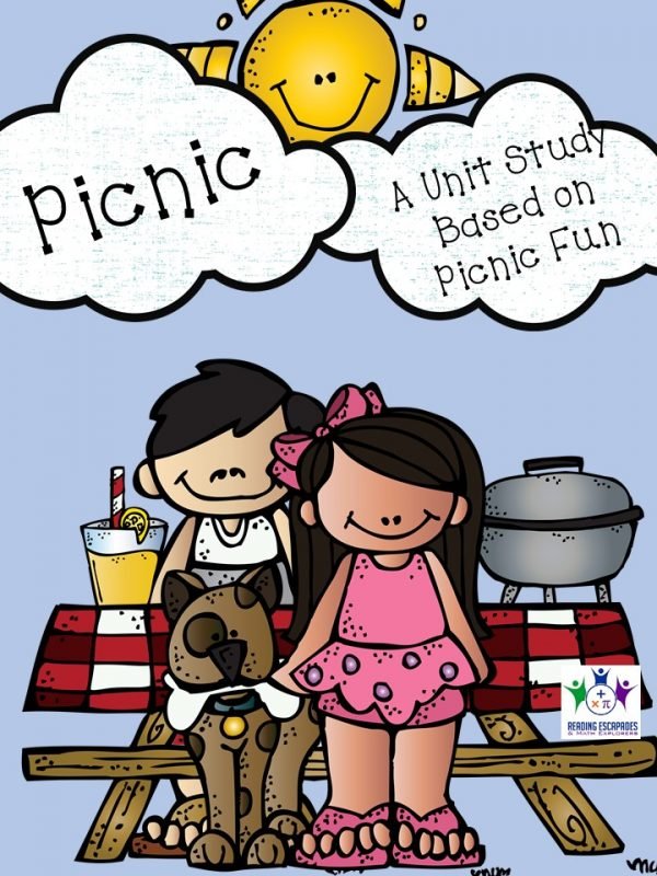 picnic fun cover